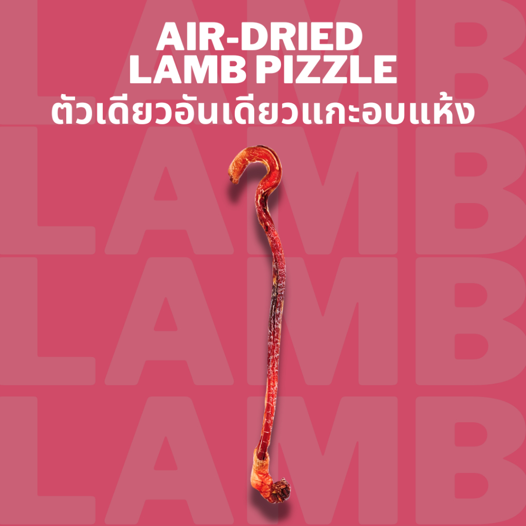 ตัวเดียวอันเดียวแกะอบแห้ง Bella's Bites Dehydrated Lamb Pizzle