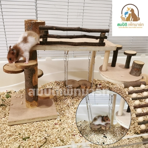 ของเล่นแฮมสเตอร์ บันไดปีนป่าย ไม้แอปเปิ้ล ปีน เล่น แทะลับฟัน จากไม้ธรรมชาติ