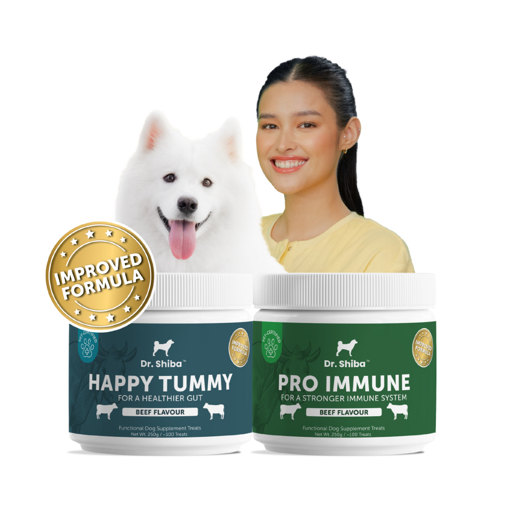 *พัฒนาสูตรใหม่* แพ็คสุดคุ้ม 2 สูตร Dr. Shiba Happy Tummy และ Pro Immune ช่วยระบบทางเดินอาหารและเสริมภูมิคุ้มกัน