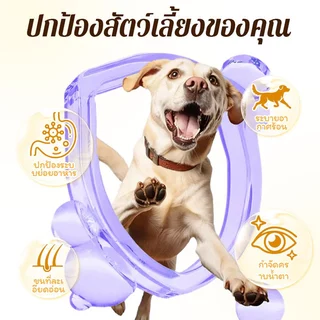【🔥ซื้อ 3 แถม 2】Cassiel pet อาหารแห้งเพิ่มปริมาณสำหรับสุนัข กำจัดคราบน้ำตา และส่งเสริมการย่อยอาหาร แนะนำสำหรับลูกสุนัข