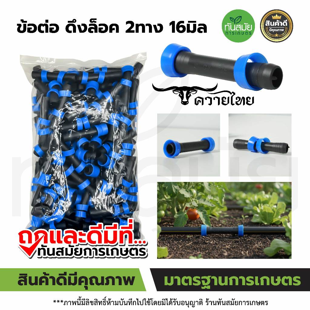 รูปภาพ 8