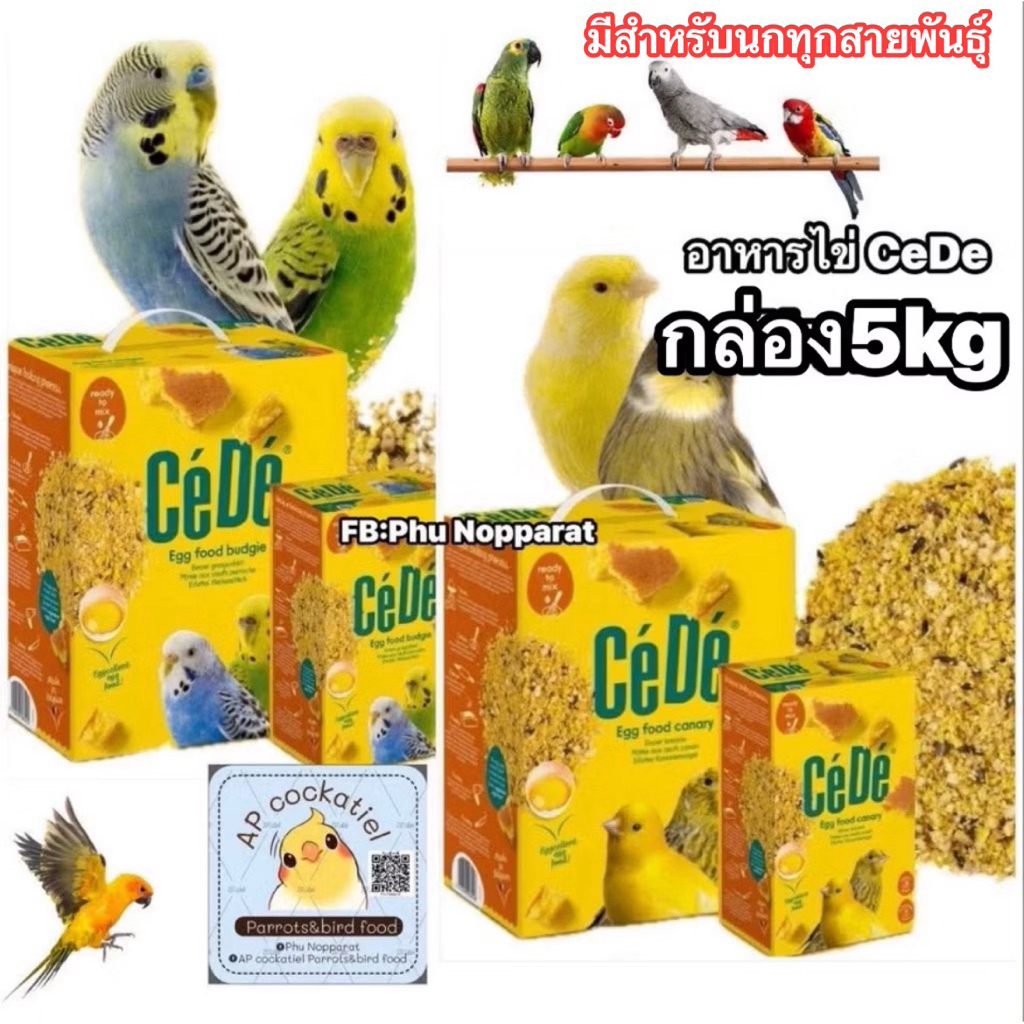 ap อาหารไข่ CeDe อาหารนกที่มากด้วยคุณค่าสารอาหาร