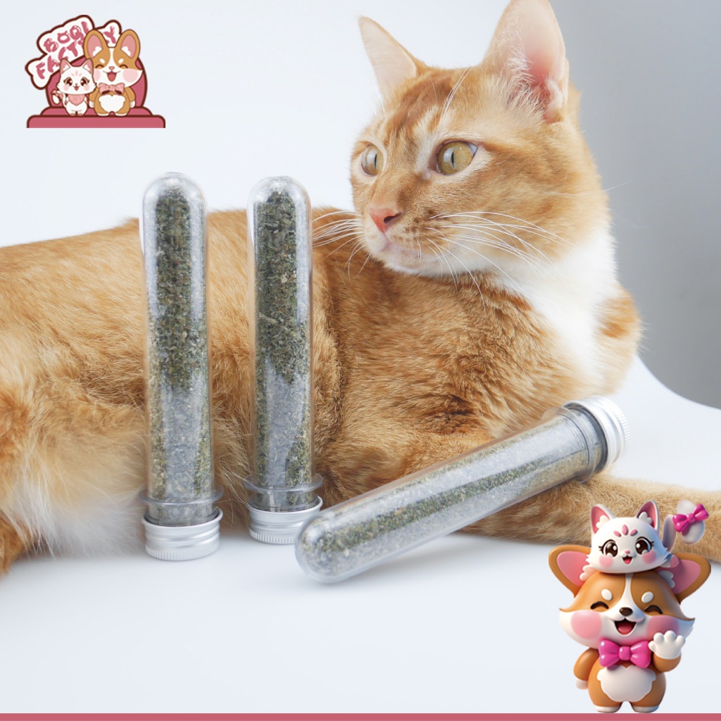 Boqi Factory กัญชาแมว Catnip ออร์แกนิคแบบหลอดกัญชาแมว Catnip ออร์แกนิคแบบหลอด LYC10013