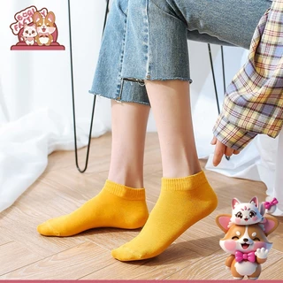 Boqi Factory ถุงเท้าข้อสั้นหมี ลายการ์ตูน สั้น 1แพ็ค 10 คู่ คละสี Sock