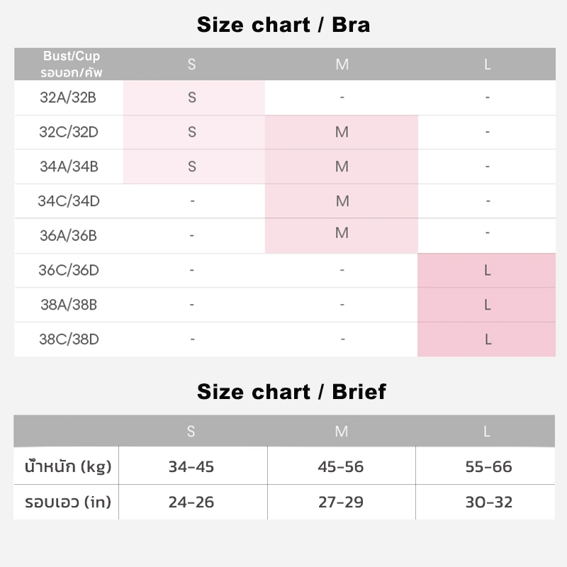 รูปภาพ 2