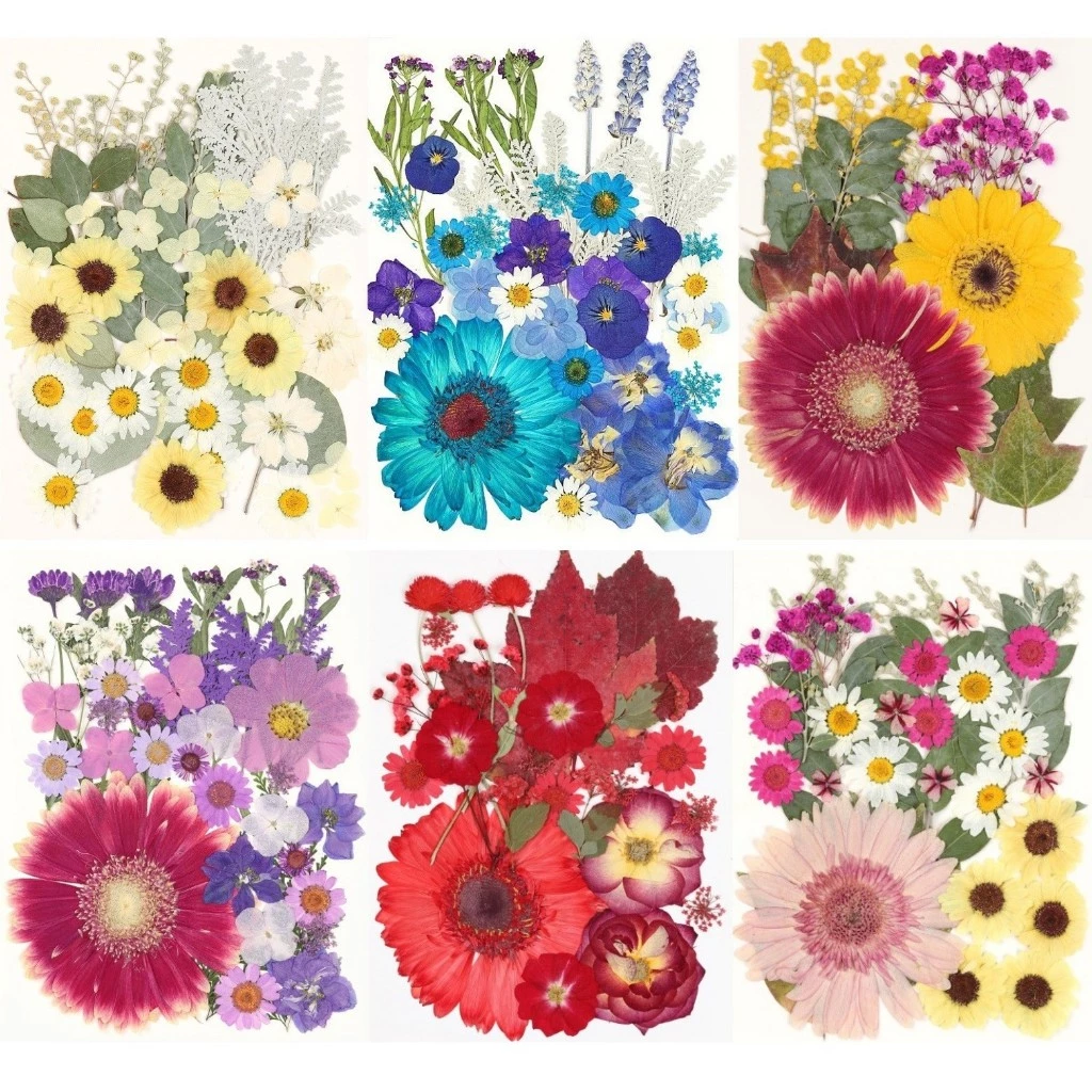 【 😍 มีหลายสไตล์ให้เลือก】 40 ชิ้นความจุขนาดใหญ่ดอกไม้แห้งลายนูนชุดกุหลาบดอกทานตะวันใบไม้รวมกันราคาไม่แพงมาก