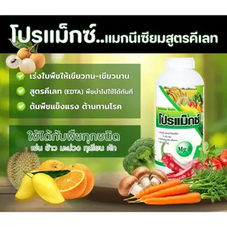 🌱🪴โปรแม็กซ์ แม็กซ์ แมกนีเซียม ( MgO ) สูตรเข้มข้นในรูปคีเลท ( EDTA ) ทำให้พืชใบเขียวเข้ม เร่งเขียว ต้านทานโรค ธาต