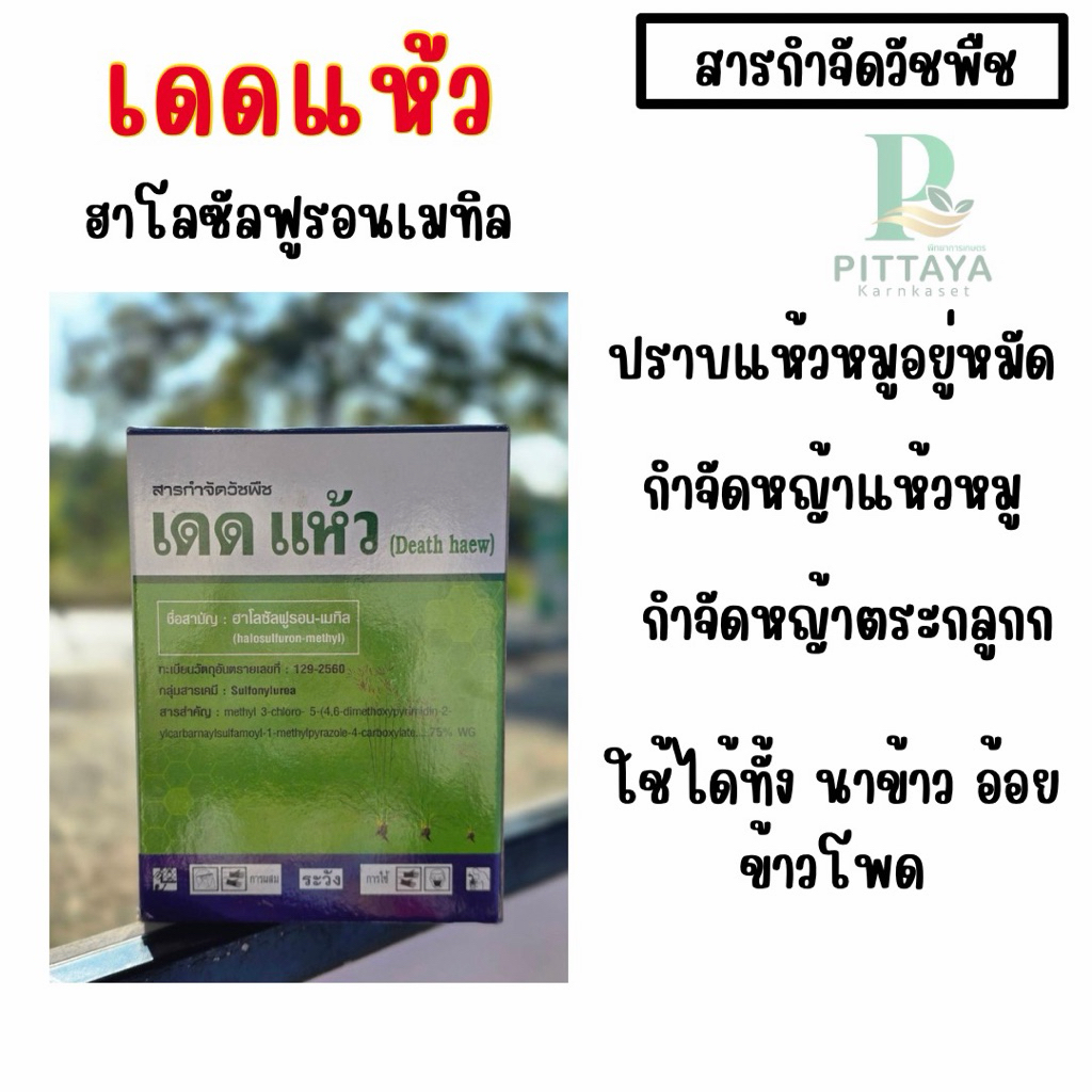 เดดแห้ว ขนาด 50 กรัม 1 กล่อง | สารกำจัดวัชพืช ( ประเภทกก แห้วหมู ในอ้อย ข้าวโพด นาข้าว )
