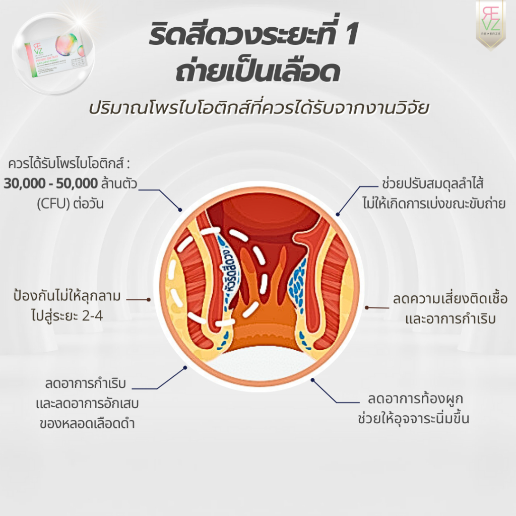 รีเวอร์เซ่ By รีเวร่า โพรไบโอติก พลัส เอลเดอร์เบอร์รี่ ผลิตและคิดสูตรโดยแพทย์นักวิจัยเยอรมนี  2กล่อง - รูปที่ 4