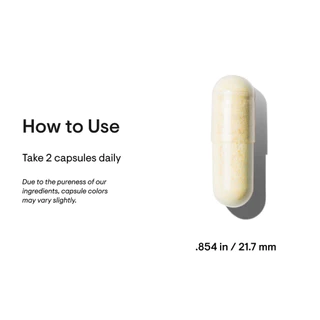 [แท้100%] Thorne Basic Nutrients 2/Day Multivitamin | วิตามินรวมคุณภาพสูง บำรุงร่างกาย | Made in USA | 60 แคปซูล