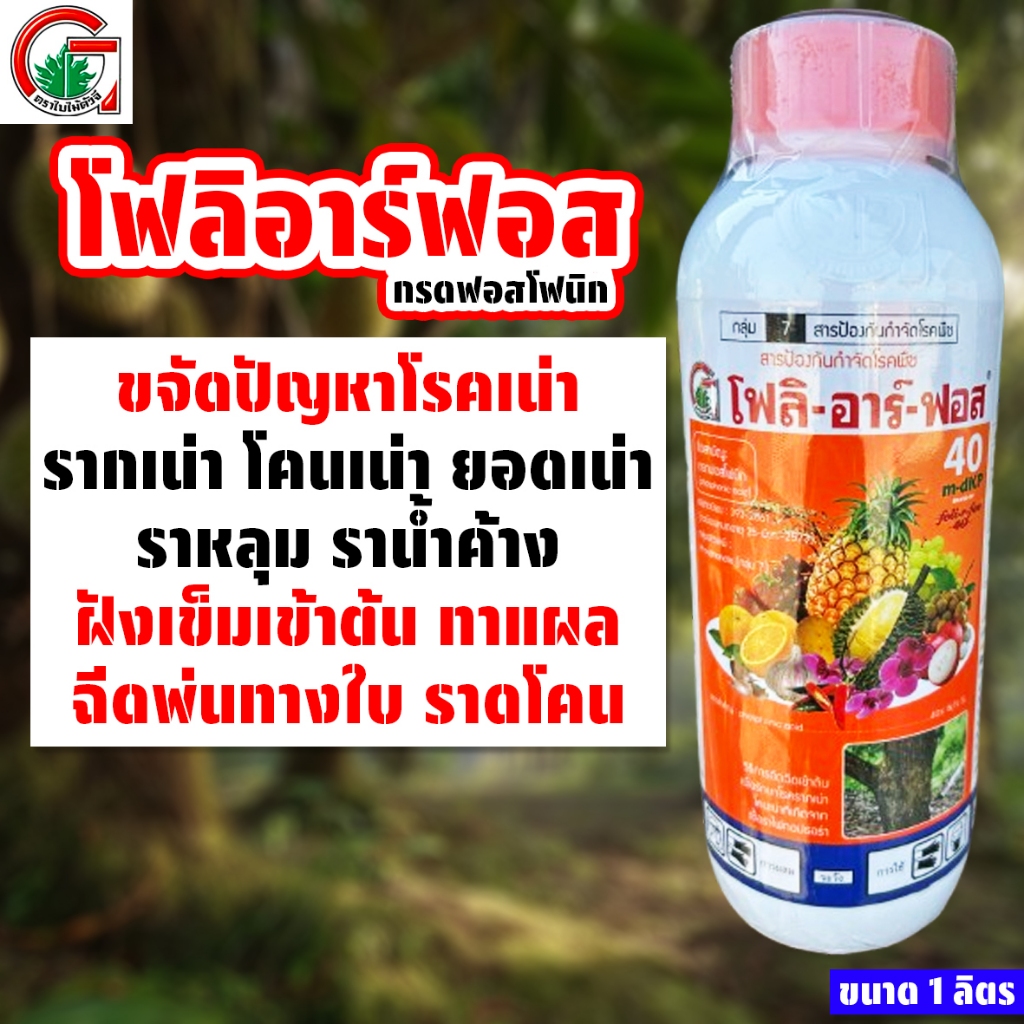 โฟลิอาร์ฟอส ขนาด 1 ลิตร กรดฟอสโฟนิก ฝังเข็มต้นทุเรียน กำจัดเชื้อรา รากเน่า โคนเน่า ยอดเน่า ของแท้