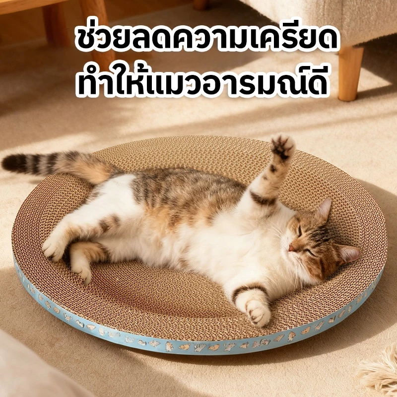 ที่ลับเล็บแมวและที่นอนแมว 2in1 thumbnail 6