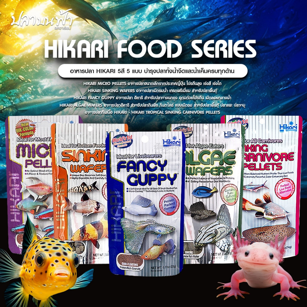 อาหารปลา Hikari ปลาหางนกยูง ปลาบอลลูน อาหารปลาก้นตู้ สำหรับปลาน้ำจืด และปลาทะเล ทุกชนิด สำหรับปลาสวยงามทุกสายพันธุ์