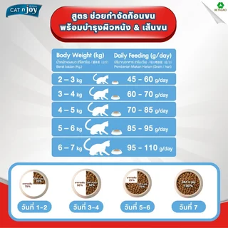 CAT n joy อาหารแมว สูตรกำจัดก้อนขนและบำรุงขน สำหรับแมวโต 1 ปีขึ้นไป รสแซลมอน ขนาด 400 กรัม