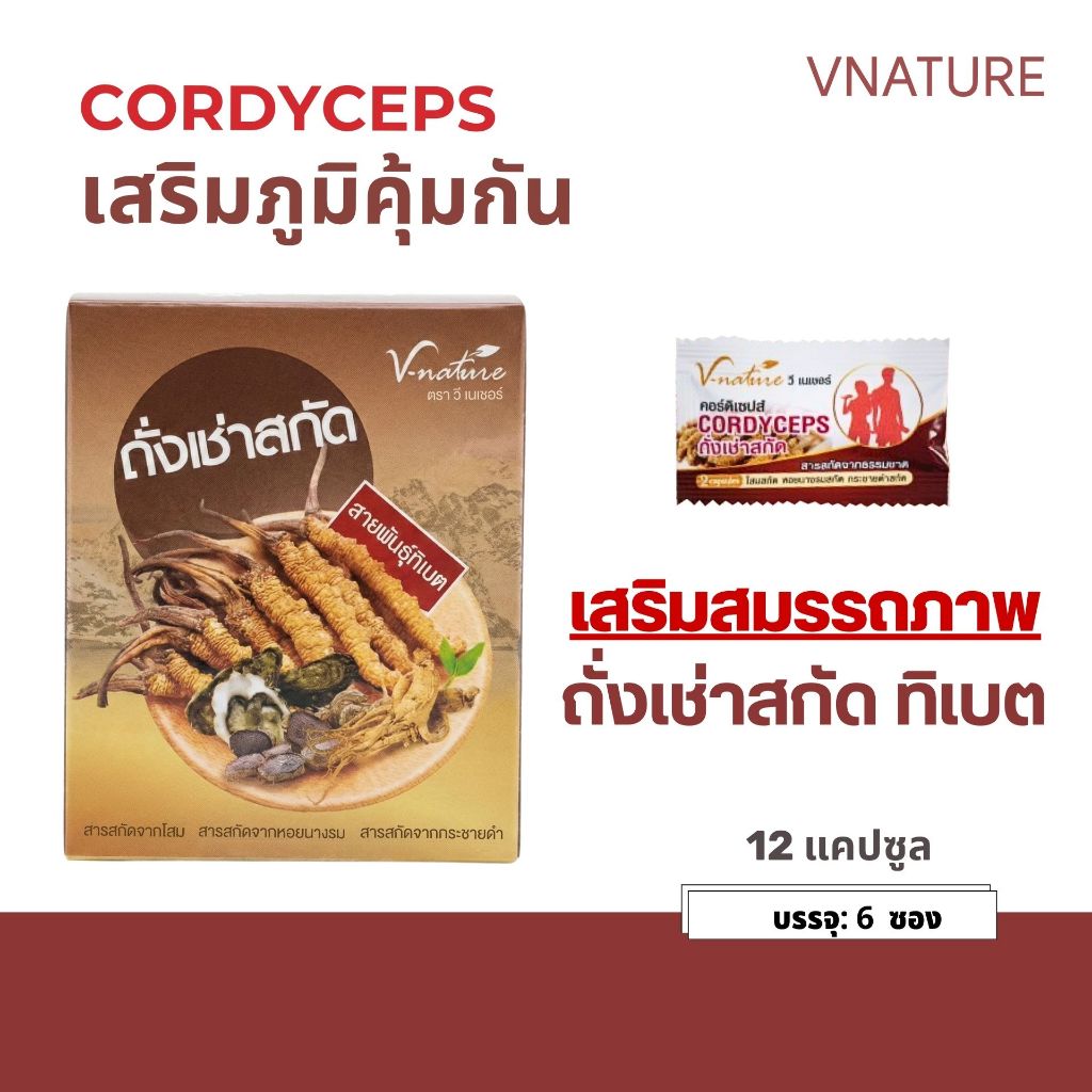 (ถั่งเช่าทิเบตสกัด VNATURE Cordyceps ถั่งเช่า 12 แคปซูล