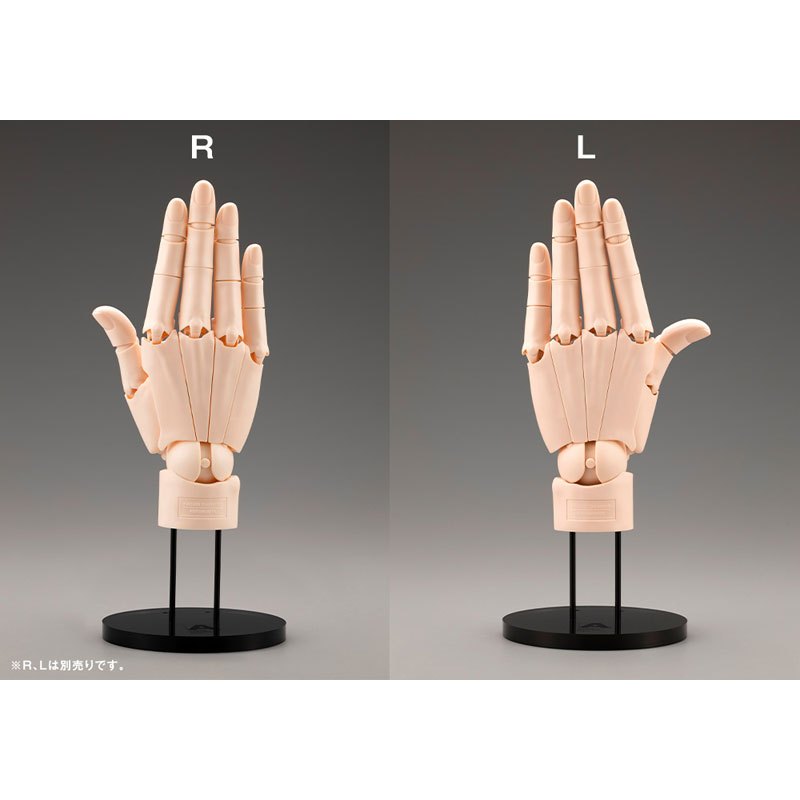 (🔴PRE-ORDER) ARTIST SUPPORT ITEM Takahiro Kagami HAND MODEL/R -PALE ORANGE- Action Figure ของแท้ 💯
