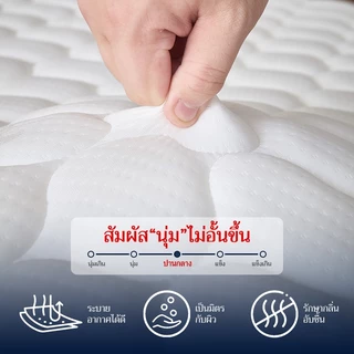 Dreame ที่นอนสปริงเสริมยางพารา ความหนา 8 นิ้ว รองรับกระดูกสันหลัง บรรเทาปวดหลัง แถมหมอนหนุน
