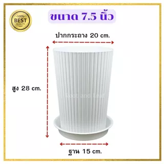 กระถางทรงสูงลายลูกฟูก พร้อมจานรอง มีทั้งหมด 3 ขนาดและมี 3 สี กระถางแข็งแรง พลาสติกหนาอย่างดี น้ำหนักเบา แต่งบ้านแต่งคอนโ