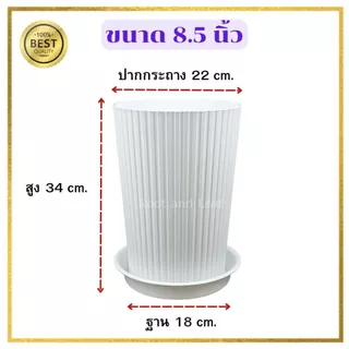 กระถางทรงสูงลายลูกฟูก พร้อมจานรอง มีทั้งหมด 3 ขนาดและมี 3 สี กระถางแข็งแรง พลาสติกหนาอย่างดี น้ำหนักเบา แต่งบ้านแต่งคอนโ