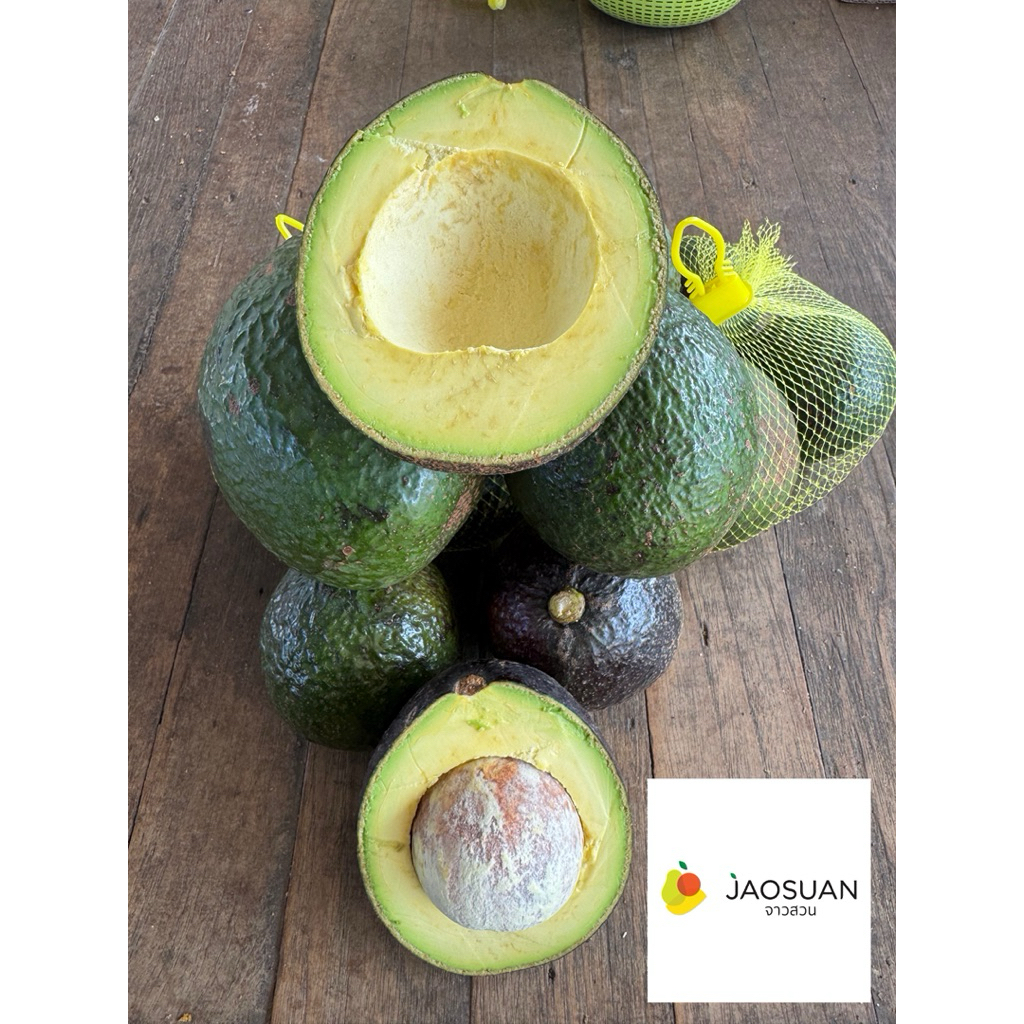 Avocado Thai อะโวคาโด้ไทย กิโลกรัม 59 บาท ขนาด 2-4 ลูก/โล