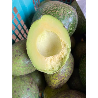 Avocado Thai อะโวคาโด้ไทย กิโลกรัม 59 บาท ขนาด 2-4 ลูก/โล