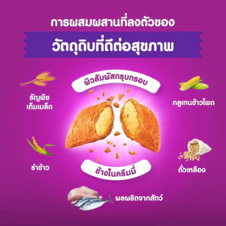 WHISKAS วิสกัส อาหารแมวเม็ด สำหรับแมวโต ขนาด 3 กก. พร้อมส่ง ส่งเร็ว ราคาถูก
