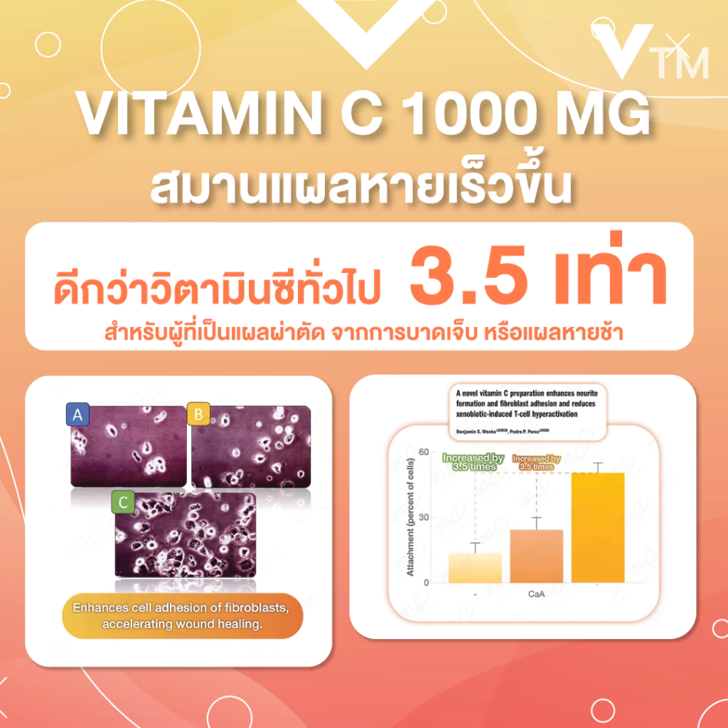 VTM Triple C 1000 mg. Plus D3 วิตามินซี 1000 มก. เสริมภูมิคุ้มกัน ผิว บำรุงสุขภาพ thumbnail 6