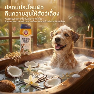 [แบรนด์แท้ USA🇺🇸] Arm and Hammer Soothing Oatmeal Shampoo แช…