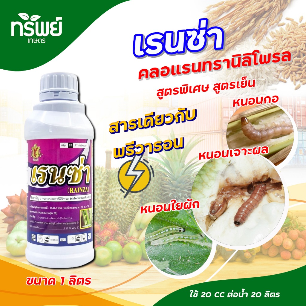 🌾 เรนซ่า 1ลิตร ✨ (สารคลอแรนทรานิลิโพรล สูตรพรีเมี่ยม) เก่งหนอนกอ หนอนเจาะคอรวง หนอนใบขาว หนอนทุกชนิด 1ขวด 15-20 ไร่