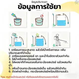 【วัชพืชดื้อ】กำจัดวัชพืช 500g ยาฆ่าตอไม้ ยาฆ่าต้นไม้ใหญ ตรงไปที่ราก สารกำจัดกอไผ่ สากลทุกฤดูกาล ผลติดทนนาน