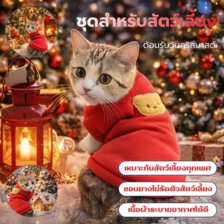 เสื้อผ้าสัตว์เลี้ยง เสื้อกั๊ก แบบบาง ระบายอากาศได้ดี ลายหมีน่ารัก สําหรับสุนัข แมว