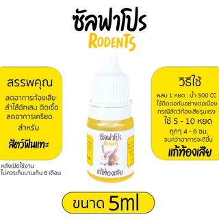 วิตามินรวม วิตามินบำรุงสุขภาพ ระบบขับถ่าย ขนและผิวหนัง กระต่าย เม่นแคระ ชูการ์ แฮมเตอร์ ฯ
