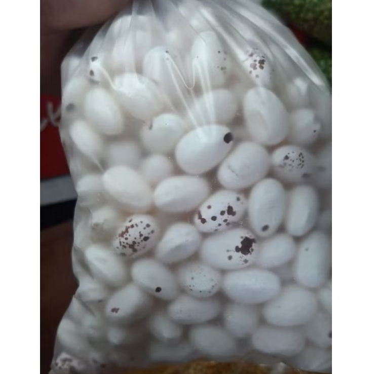 ลูกอมไข่ไดโนเสาร์ (ลูกอมไข่นก) น้ำหนัก 1 กิโลกรัม