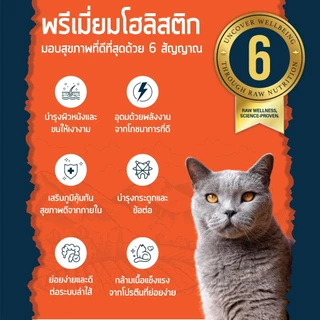 ยกลัง 4 ถุง เคลลี่แอนด์โค เอสเซ็นเชียล อาหารแมวพรีเมี่ยมโฮลิสติก-เกรนฟรี ให้ตัวแน่น ขนนุ่มหนา ขนาด 1.59 กก