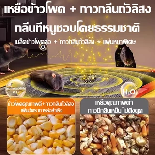 （COD）แผ่นกาวดักหนู 10/20/30 ชิ้น กาวเหนียวแน่น แผ่นหนา ดักหนูตัวใหญ่ ใช้ง่าย วางในบ้าน ครัว โกดัง ปลอดภัย ไม่ไหลเยิ้ม ดี