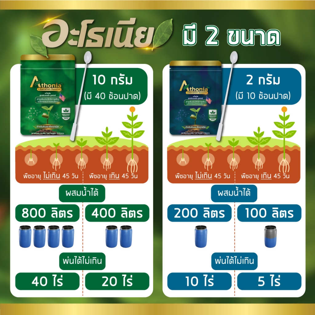 1แถม2 อะโธเนีย 10กรัม [30-60 ไร่] อาหารเสริมพืชทางใบ เร่งราก เร่งต้น เร่งดอก เพิ่มแป้ม เพิ่มน้ำตาล ราคา ถูกที่สุด ดีลบีเคเค แกลเลอรีภาพที่ 3