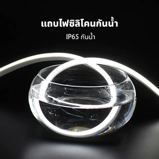 ไฟแถบนีออน Neon Flex LED 220V ดัดงอได้ กันน้ำ ยาว3/5/10/20ม ไฟตกแต่งห้องบ้าน ร้านค้า ต่อปลั๊กใช้เลย