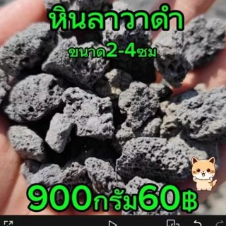 ดำกลางหินลาวาดำ ขนาด2-4ซม 900กรัม