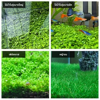 ดินปลูกไม้น้ำตู้ปลา soil 1KG ดินต้นไม้น้ำ ดินไม่แตก น้ำไม่ขุ่น ปลอดภัยต่อสัตว์น้ำ