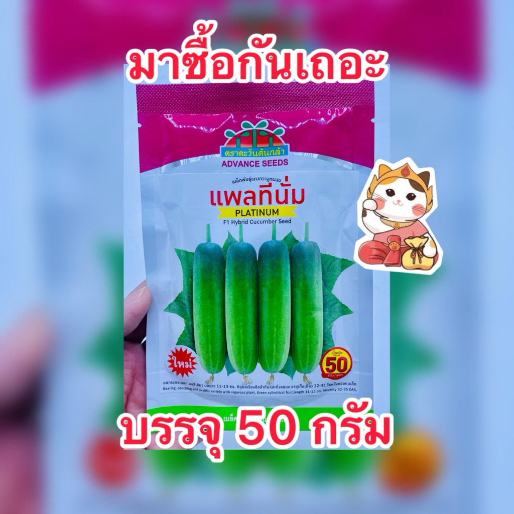 แพลทีนั่ม เมล็ดแตงกวาตราตะวันต้นกล้า บรรจุ 50กรัม/ซอง