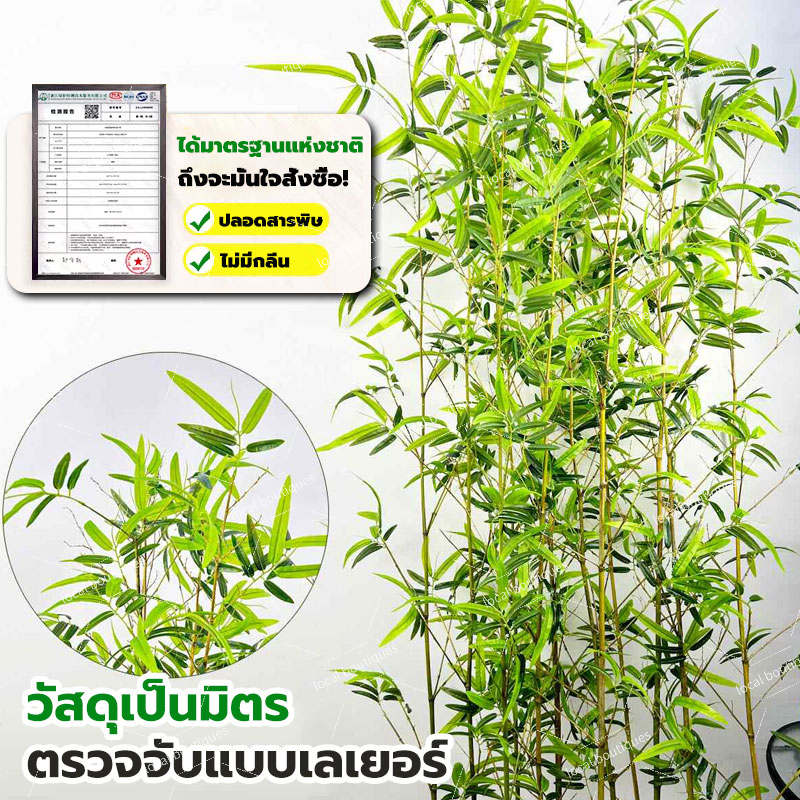ซื้อเยอะลดเยอะ ต้นไม้ปลอม ต้นไม้ปลอมใหญ่ 120/150/200cm ความจำลอง99% โดนแดด โดนฝน สีไม่ซีดจา สำหรับตกแต่งบ้านและสว ราคา ถูกที่สุด ดีลบีเคเค แกลเลอรีภาพที่ 6