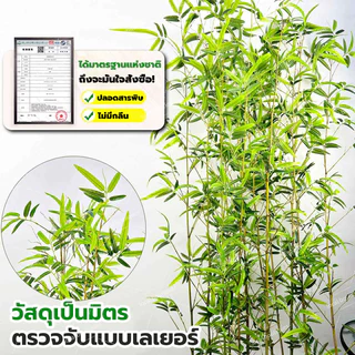 🌸ซื้อเยอะลดเยอะ🔥ต้นไม้ปลอม ต้นไม้ปลอมใหญ่ 120/150/200cm ความจำลอง99% โดนแดด โดนฝน สีไม่ซีดจา สำหรับตกแต่งบ้านและสว