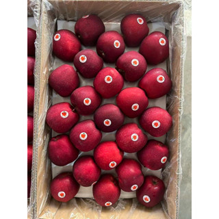 แอปเปิ้ลวอจีน 88,100,113,125 ลูก แอปเปิ้ลสายพันธ์วอชิงตัน  แ…