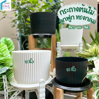 กระถางต้นไม้ กระถางลูกฟูก ทรงกลม ขนาด 10 และ 12 นิ้ว กระถางม…