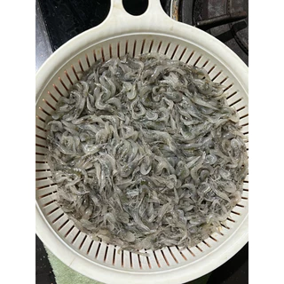 🔥ส่งด่วนจากนนทบุรี🔥กุ้งฝอยแช่แข็ง แพ็ค 1 กิโลกรัม | ปลาทุกชนิดกินดี | HungryFish