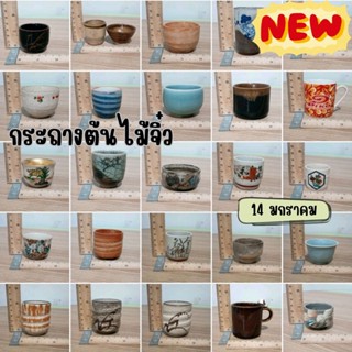 กระถางจิ๋ว มาใหม่ กระถางเซรามิกญี่ปุ่นมือสอง กระถางต้นไม้ st…