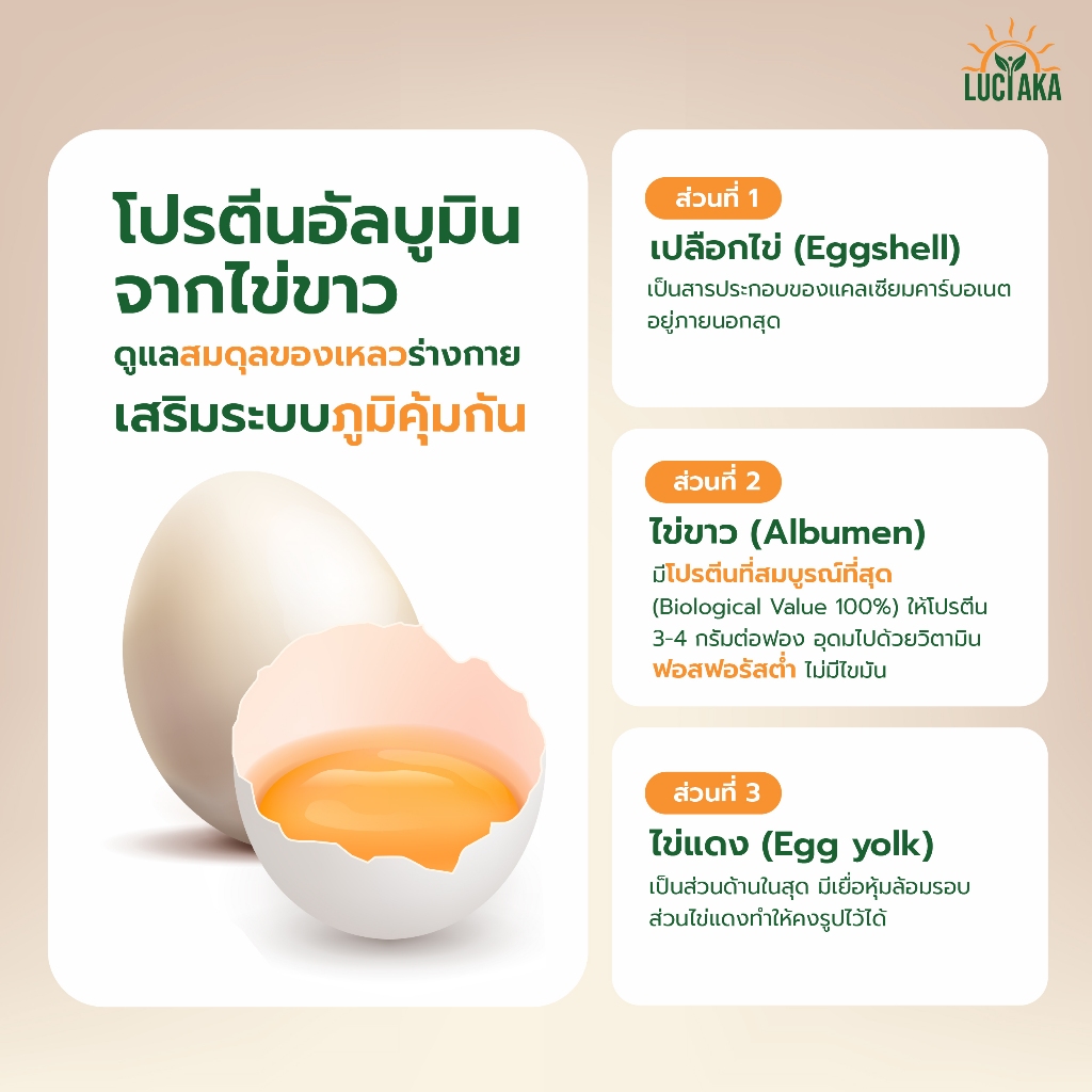 [3 กระปุก] LUCIAKA Egg Albumin อัลบูมิน โปรตีนไข่ขาว มีธาตุเหล็ก ซิงค์ วิตามินบี ดูแลสมดุลของเหลว ดูแลระบบภูมิคุ้มกัน - รูปที่ 2