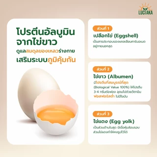 [2 กระปุก] LUCIAKA Egg Albumin อัลบูมิน โปรตีนไข่ขาว มีธาตุเหล็ก ซิงค์ วิตามินบี ดูแลสมดุลของเหลว ดูแลระบบภูมิคุ้มกัน