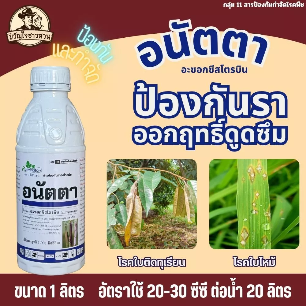 อนัตตา 1 ลิตร (1,000 ซีซี) อะซอกซีสโตรบิน (azoxystrobin) 25% กำจัดเชื้อรา โรคราดำ แอนแทคโนส ราน้ำค้าง ราแป้งทุกชนิด