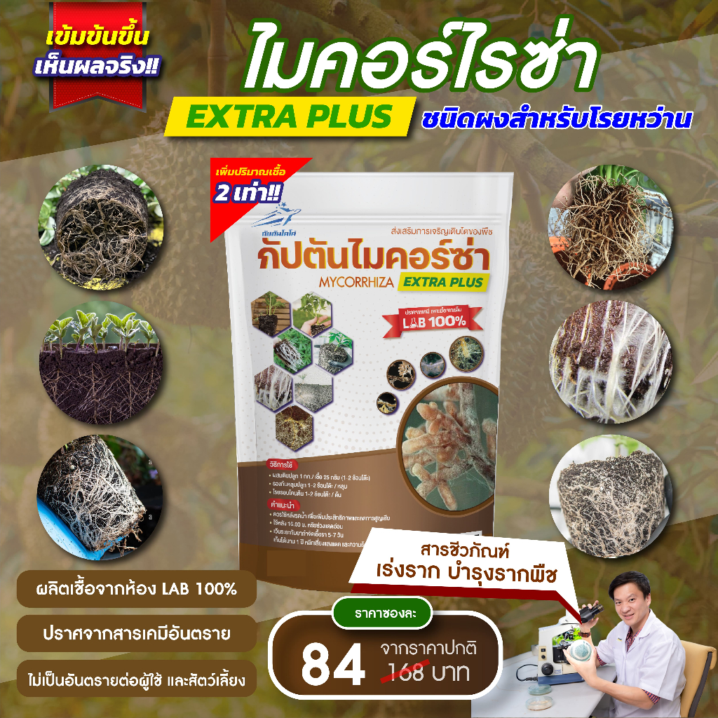 ไมคอร์ไรซ่า กัปตัน สูตรเข้มข้น เชื้อ 2 เท่า อัพอาหารเชื้อ (100กรัม)  เพาะเชื้อจาก LAB ปลอดภัย 100%